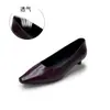 Zapatos Mary Jane de Punta Fina para Mujer, Otoño 2026 Nuevos Vintage de Tacón Bajo Color Vino Tinto Slip-On Moda Casual