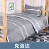 Funda de edredón y juego de sábanas de tres piezas engrosado, cepillado, amigable con la piel, individual, simple, para dormitorio de estudiante, juego de tres piezas, fabricante, venta al por mayor
