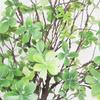 Simulado Planta Espumando Ramos Japonês Sino Folha Cavalo Bêbado Madeira Vaso Begônia Folha Interior Internet Celebridade Decoração de Casa