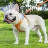 Novo acessório para pet transfronteiriço: Coleira tipo peitoral para pet, refletiva e respirável, para gatos e cães, com guia para passear com o cachorro