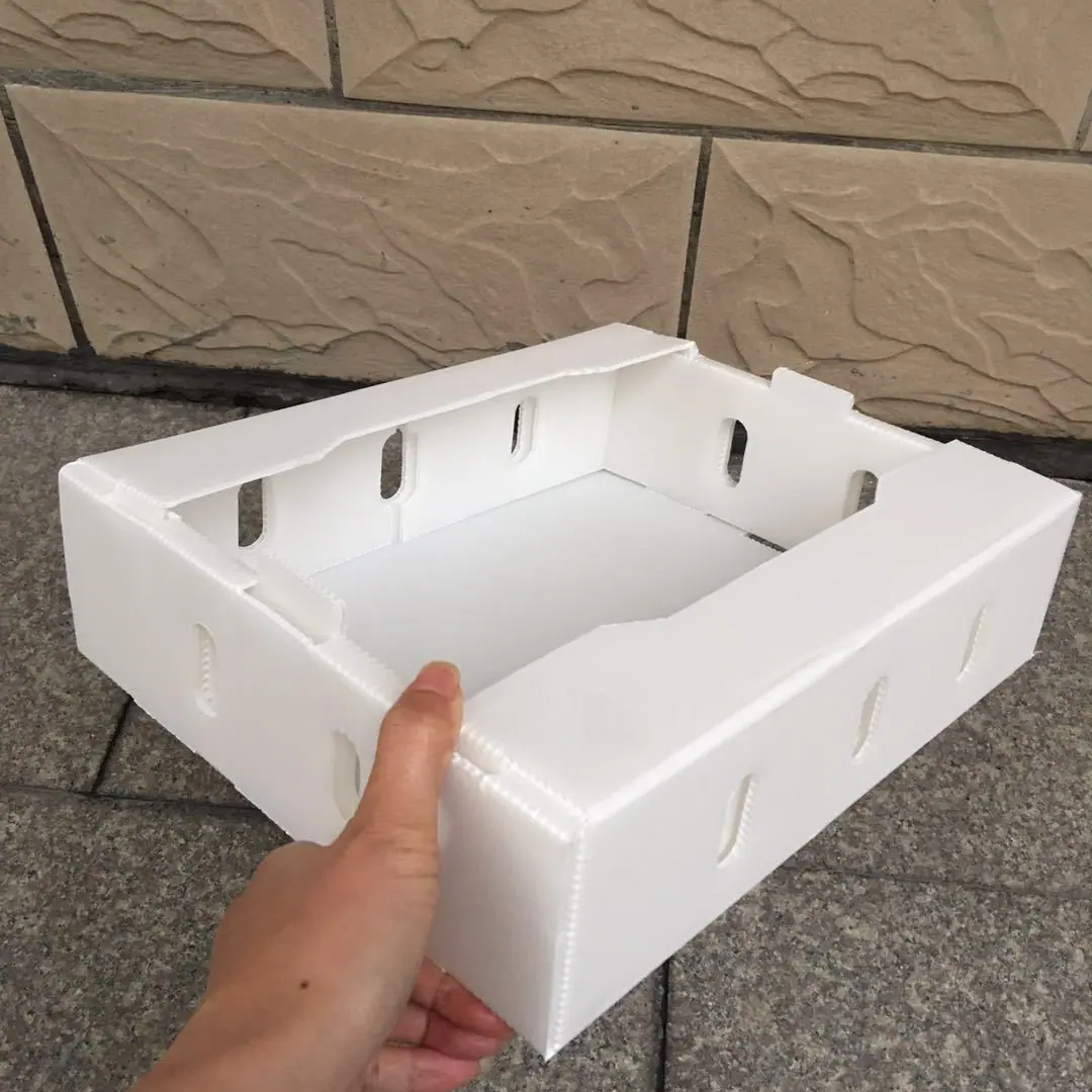 草莓箱-5.JPG