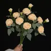Ramo de Flores Artificiales Peonías con Borde Quemado Estilo Francés Decoración para Sala de Estar, Adorno de Ramo de Flores Secas, Decoración de Alta Gama