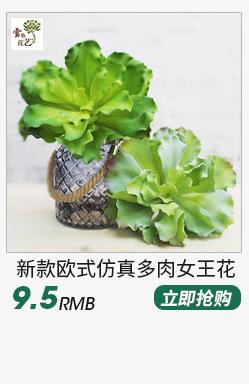 多肉植物---副本_06.jpg