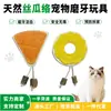 Brinquedo de Bucha de Grau Alimentício para Pet, Palito de Matatabi para Limpeza Dental e Mastigação para Gatos, Alivia o Tédio, Previne a Destruição da Casa