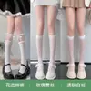 Calcetines Blancos de Encaje Estilo Puro Deseo Hasta la Pantorrilla Calcetines JK para Mujer Media Pantorrilla Encaje Negro Estilo Japonés Medias Blancas Media Pierna Lolita