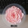 Rosa Eterna Gigante de 10-12 cm Rosa Preservada Flor Eterna Navidad Tanabata Día de San Valentín Regalo de Cumpleaños