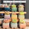Maceta carnosa Cerámica Jardinería Mini Corazón de niña Pequeña Nueva Creativa Linda Hogar Fresca Maceta de cerámica Maceta