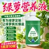 Solución nutritiva y fertilizante especiales para hiedra verde, adecuados para plantas hidropónicas y hiedra verde en maceta, fertilizante líquido de grado comercial para flores, uso doméstico, previene el amarillamiento de las hojas