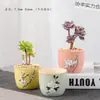 Vasos de Cerâmica Bruta Sem Esmalte para Flores Frescas com Características Zen Criativas, Novo Conjunto Respirável para Plantas Suculentas, Frete Grátis
