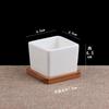 Macetas para Suculentas Macetas de Cerámica para Suculentas Macetas de Porcelana Blanca Macetas Simples Hechas a Mano Plantas Suculentas Flores Pequeñas Huaishai