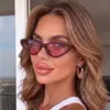 Nuevas Gafas de Sol de Personalidad con Montura Cat-Eye para Mujer, Tendencia Ins, Estilo Callejero Genial, Gafas de Moda, Retro, Sensación de Alta Gama, Gafas de Celebridad de Internet