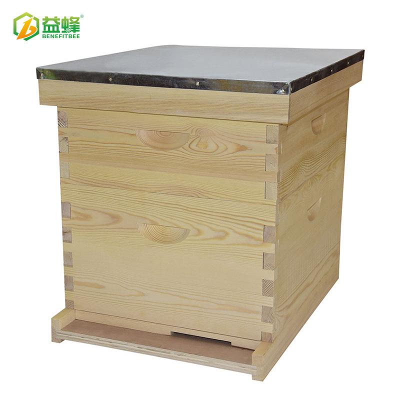 XX04-1B-800X800