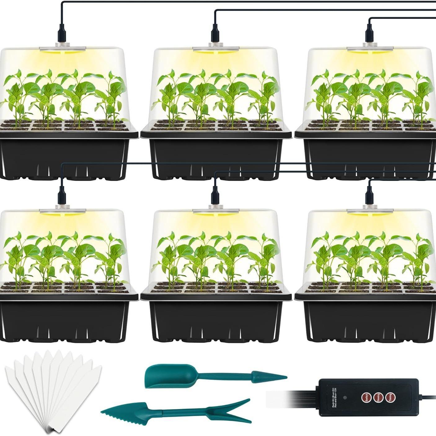 2024-03-09 17:45:44.jpg