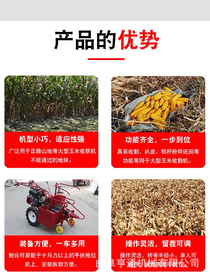 O1CN01v64so41MxxeSxWBHZ_!!2742