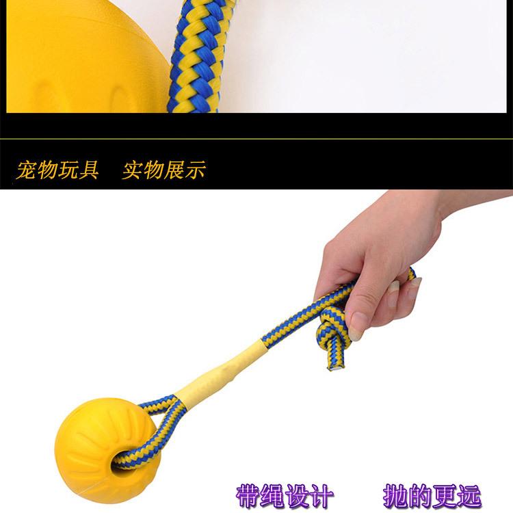 宠物球_07