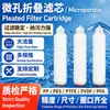 Filtro de 30A de 10 Pulgadas 0.22Um Rosca M30 Elemento Filtrante Plegado de Membrana Microporosa Fabricante de Elementos Filtrantes Plegados