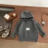 Ropa Coreana para Niños Niños Otoño 2025 Tejidos Moda para Bebés Sencillo Elegante Suéter con Capucha Gris Pulóver