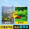 Bacterias Nitrificantes Pecera Especial Peces Digestión Purificación Calidad del Agua Peces No Fármaco Estabilizador Purificador de Agua Bacterias Nitrificantes