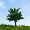 Sistema verde Árvore de bola ambiente árvore modelo árvore de arame modelo de árvore de arame mesa de areia modelo de planejamento árvore pequena paisagem simulação planta