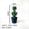 Flores Artificiais Plantas Tropicais Cacto em Vaso Gaze Preta Fabricante Internacional de Plantas Artificiais Fornecimento Direto Transfronteiriço Dropshipping de Peça Única