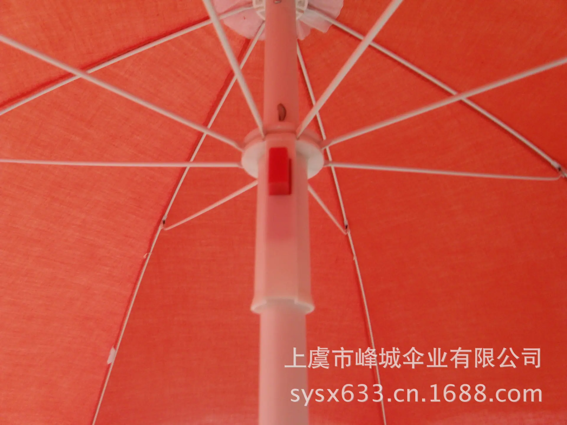 SDC11156