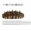 Dalian Congelado Listo Para Comer Pepino de Mar Fuente Fabricante Mayorista Fresco Pepino de Mar Fabricante Suministro Directo Envío Directo de Una Pieza Tónico