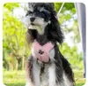 Corda de Tração para Cachorro Nova Transfronteiriça Alça Peitoral para Cachorro Pequeno Pet Refletiva Respirável Alça para Cachorro Corda para Passeio de Cachorro