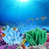 Artesanato de Simulação Aquário de Coral Tanque de Peixes Peixes Pequenos Enfeites Mini Presente Decoração Peixe Oito Melões Enfeites DIY