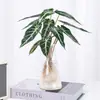 Plantas Hidropónicas de Hada Pequeña Son Plantas en Maceta de Interior Fáciles de Cultivar, Flores Tolerantes a la Sombra para Escritorio de Oficina, Plantas Verdes Mini Cultivadas en Agua