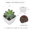 Más de 100 Tipos de Combinaciones de Plantas Suculentas Artificiales en Maceta Mini, Ventas Transfronterizas Populares, Estilo Sencillo Decoración del Hogar Flores Artificiales y Plantas Verdes, Directo de la Fábrica Fuente
