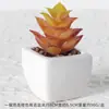 Suculentas Simuladas Personalizadas Cerámica Bonsái Plantas Verdes Escandinavas Adornos Hogar Interior Sala de Estar Flores Falsas Suculentas Plantas en Maceta