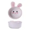 Tazón de arroz creativo para niños, tazón para comida complementaria, tazón para fideos, tazón para sopa, tazón con asa fresco de aspecto Ins, tazón para frutas para el hogar