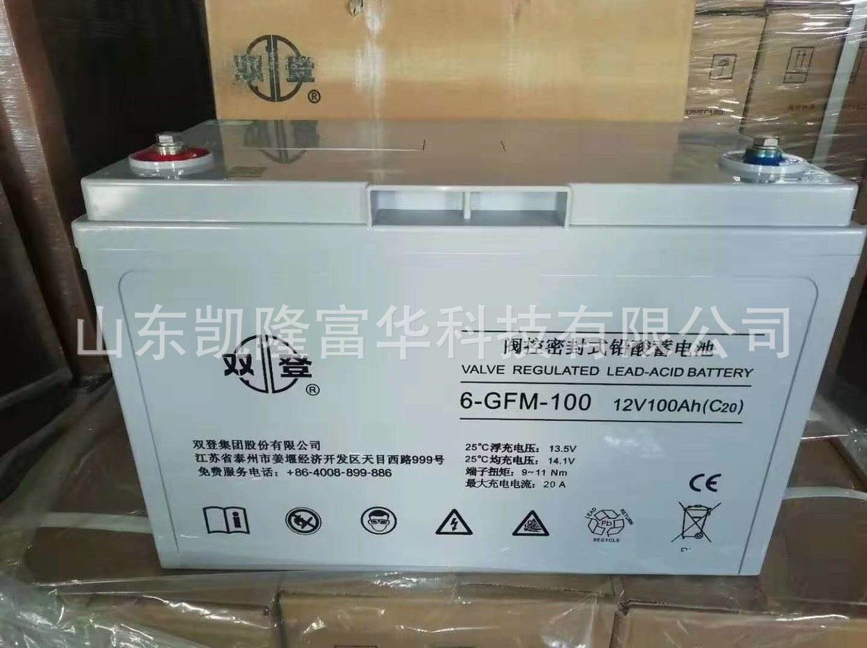 双登蓄电池100AH1