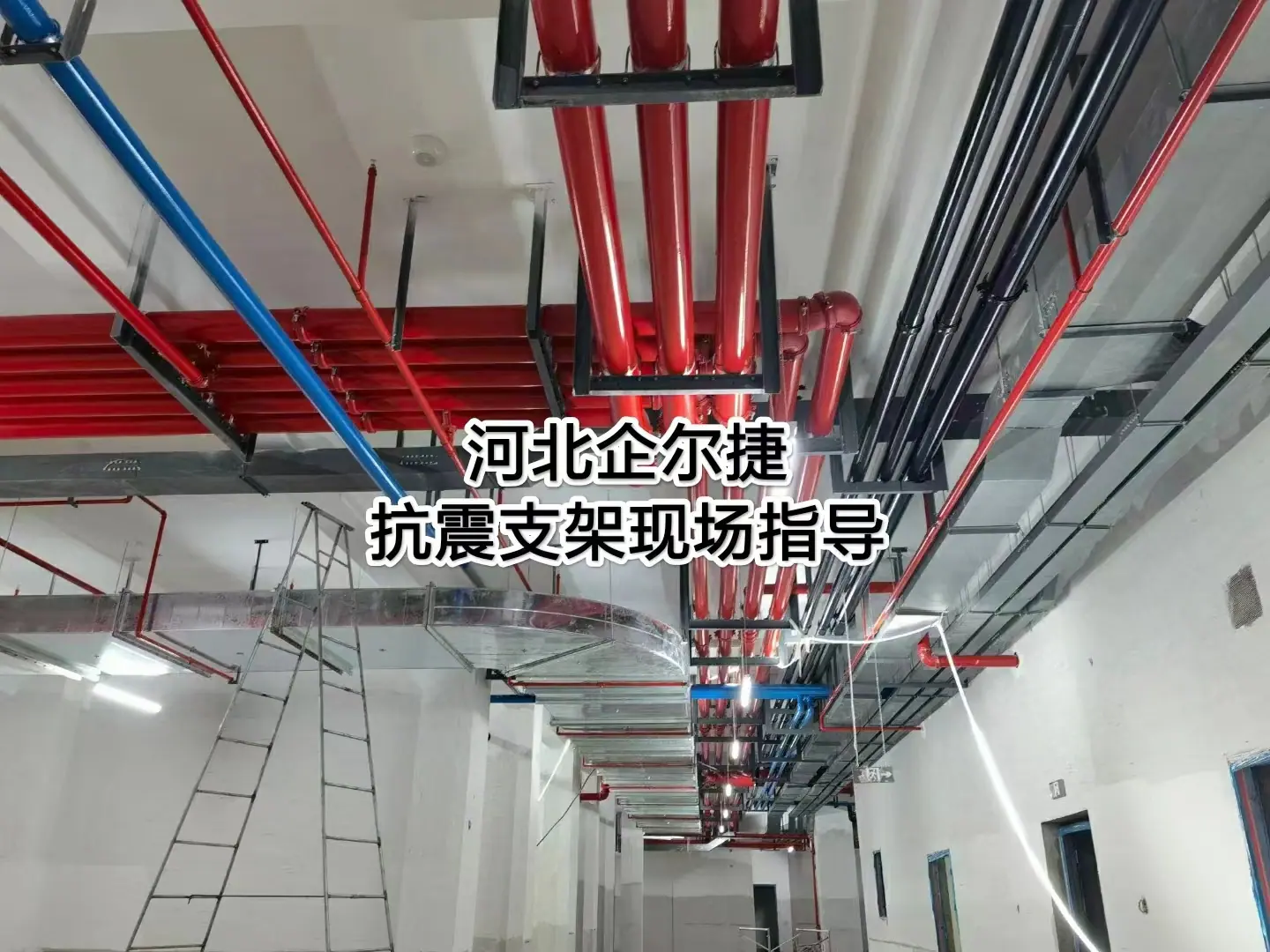 微信图片_2023070614311123.jpg