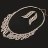 Joyería Europea y Americana Moda para Damas Accesorios para Fotografía de Bodas Rendimiento de Banquete Collar Pendientes Conjunto de Dos Piezas N349