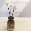 Botella Vacía Sub-empaque Suplemento Aromaterapia Aceite Esencial Ratán No Inflamable Tapa de Haya Contenedor de Agua Floral Fragancia Hotel Casa de Huéspedes