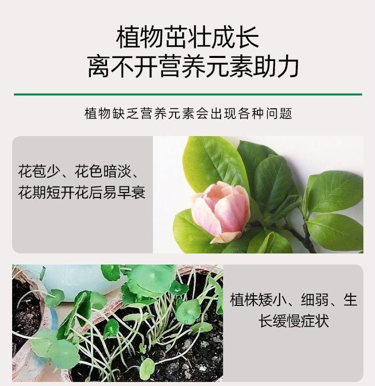 微信图片_20250322170340.jpg