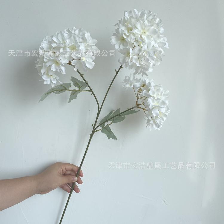 微信图片_202207211439008_副本