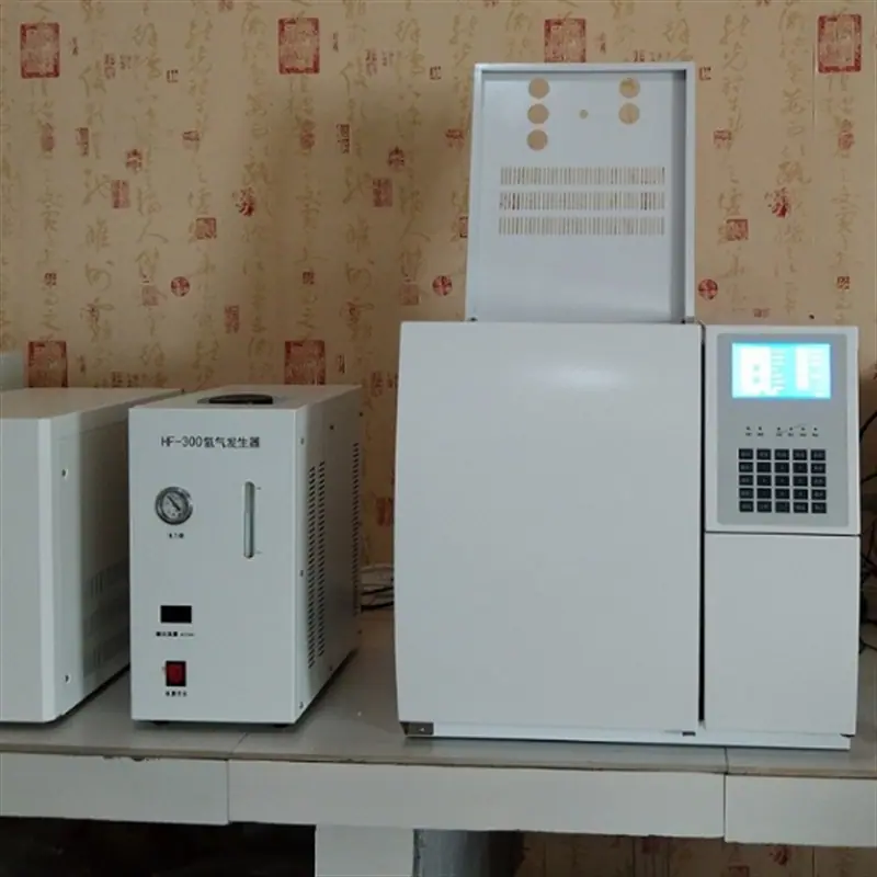 气相色谱仪 (4)