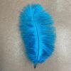 Venta Directa de Fábrica de Plumas de Avestruz de Colores 25-30cm Decoraciones de Iluminación DIY con Plumas de Avestruz Accesorios para Ropa Plumas Reales