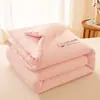 Colcha de algodão puro de Xinjiang para uso em dormitório de estudante individual, enchimento de colcha de algodão, colcha de inverno, colcha de primavera e outono, roupa de cama fresca de verão para ar condicionado