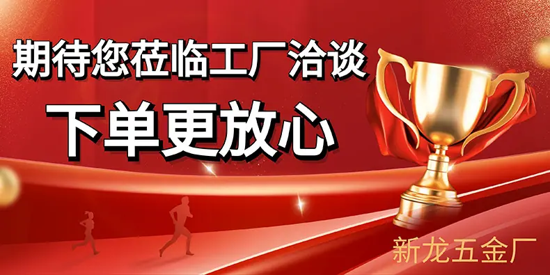 新龙详情.jpg