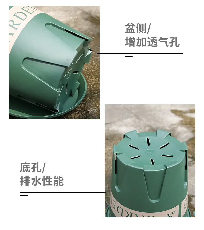 丽朵印花盆_06