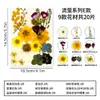 Kit de material DIY repujado con flores secas para marcapáginas infantiles, especímenes de plantas, decoración de marco de fotos de resina hecho a mano