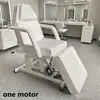 Cama Plegable para Tatuaje y Bordado, Cama para Lavado de Cabello y Terapia, Cama Tradicional China para Masaje y Fisioterapia, Cama de Masaje para Centro de Bienestar, Cama para Extensión de Pestañas, Cama Eléctrica de Belleza