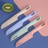 Cuchillo para Fruta de Acero Inoxidable, Cuchillo de Cocina Doméstico, Cuchillo para Rebanar, Práctico Cuchillo Pelador, Cuchillo para Cortar Huesos, Juego de Regalo de Tres Piezas al Por Mayor