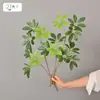 Rama Grande de Madera con Forma de Pico de Pato de Hoja de Dinero Artificial para Arreglos Decorativos en Habitaciones Modelo, B&Bs, Salas de Estar y Decoración del Hogar