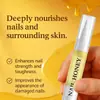 Aceite Regenerador de Uñas Orgánico Transfronterizo 4ml Empaque Neutro