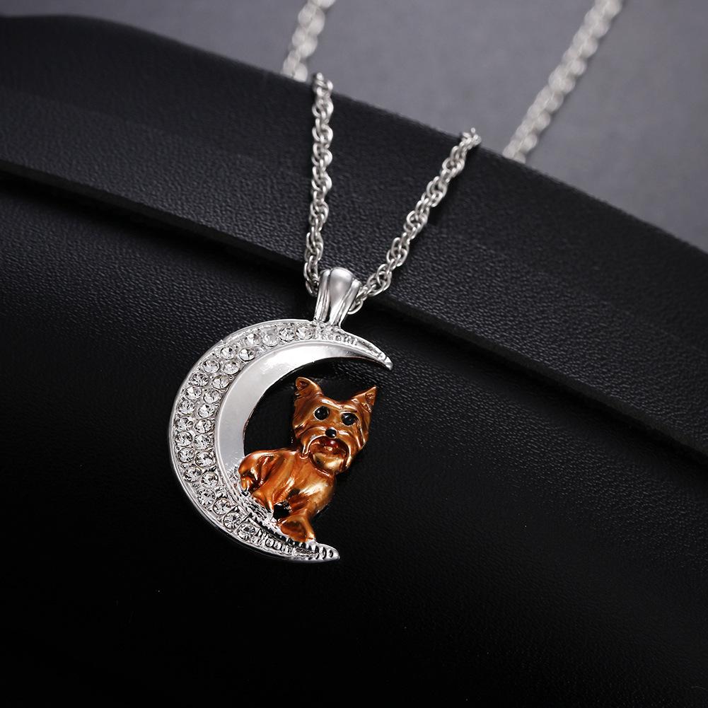 12791874374_2122545262