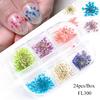 Verano transfronterizo caliente arte de uñas flor seca Red Social 6 colores bebé completo Cielo estrella flor niña uña flor real modelado en grandes cantidades en stock